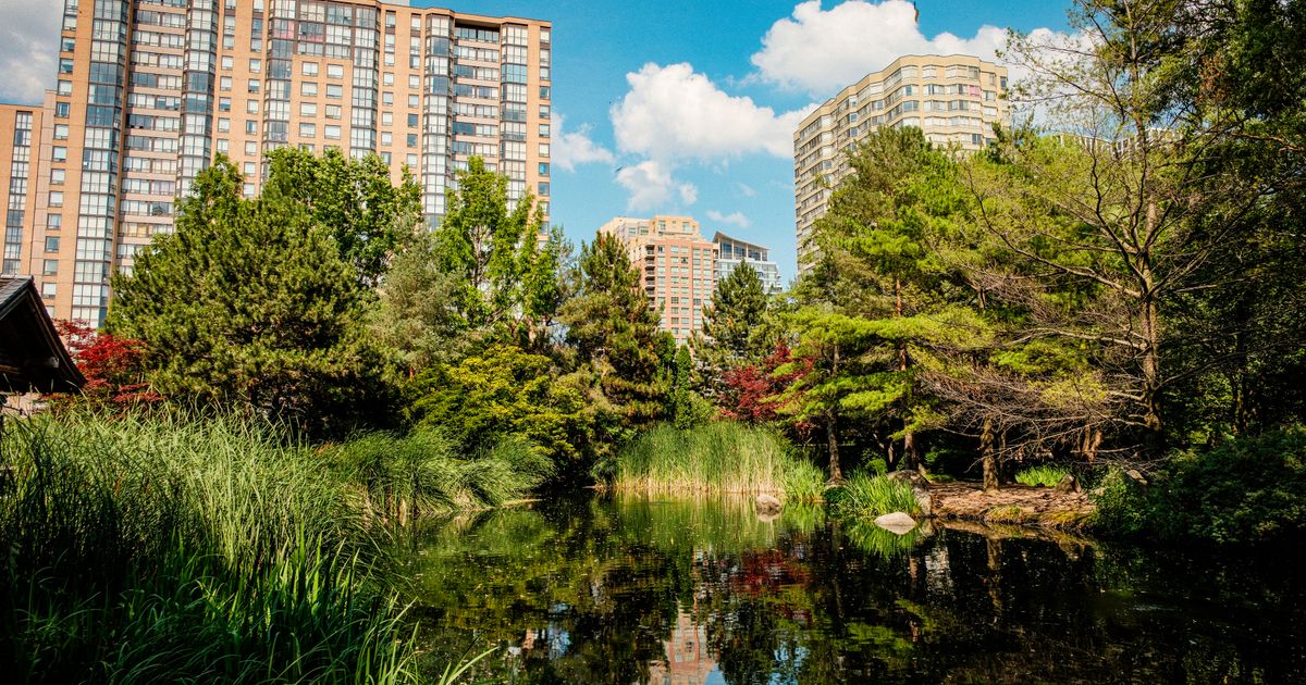 Serene city park in Toronto featuring lush greenery and building reflections in a pond.
